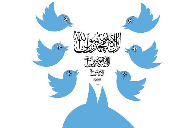 articles/2013/11/20/taliban-and-nato-war-on-twitter/131119-twitter-nato-al-qaeda-v1_nn98pl