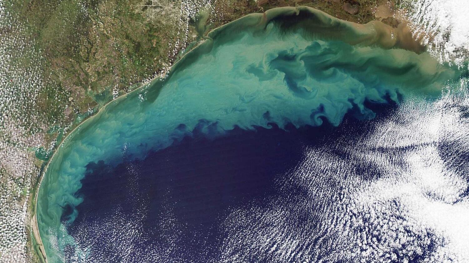 23-researchersp_g2wbyb