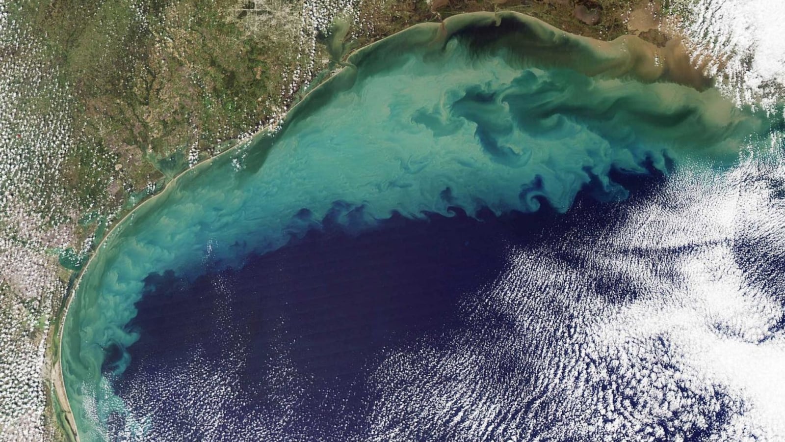 23-researchersp_g2wbyb