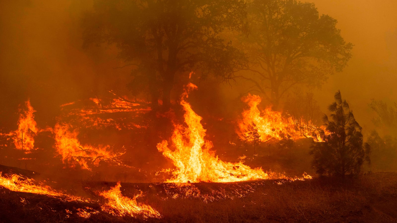 GettyImages-1228100185_wghjx6