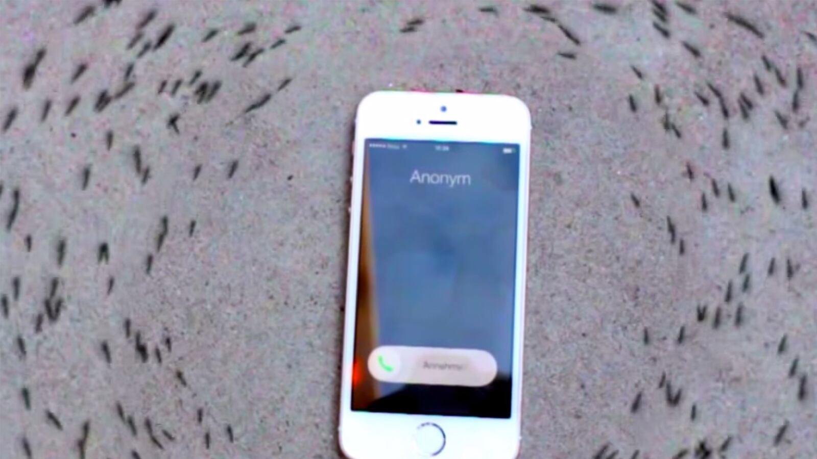 articles/2015/09/03/watch-an-iphone-control-ants/150903-joiner-ants-phone-tease_m3081k