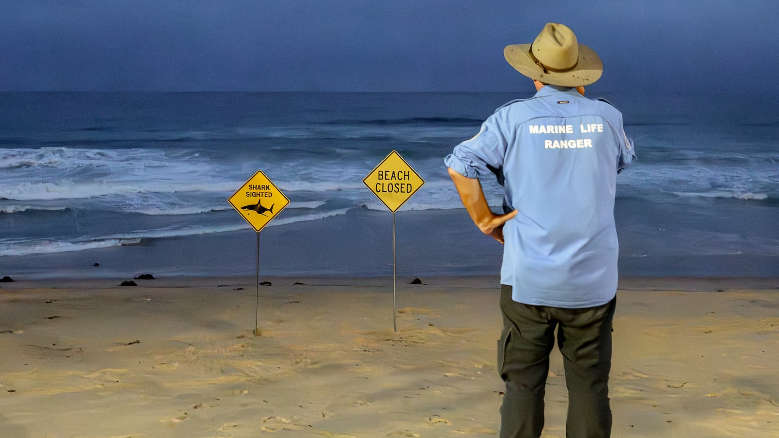 A marine life ranger stands near the closed signage of the North Steyne Beach in Sydney on January 19, 2026. A shark mauled a surfer off an ocean beach in Sydney on January 19 in the Australian city's third shark attack in two days, authorities said. (Photo by Steven Markham / AFP via Getty Images)