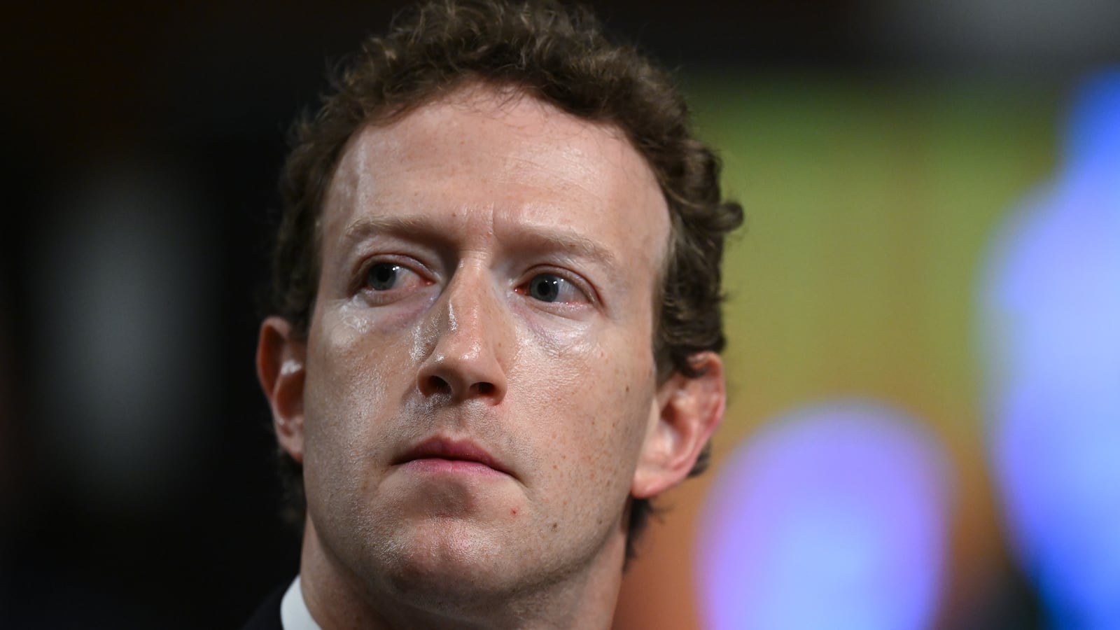 CEO of Meta, Mark Zuckerberg.