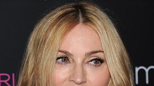 cheats/2011/03/14/stalker-breaks-into-madonnarsquos-mansion/celewho-fence---madonna_z8cnci