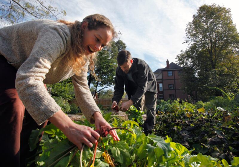 galleries/2011/05/31/best-cities-for-recent-grads/best-cities-for-grads-2011---kalamazoo_iq39ii