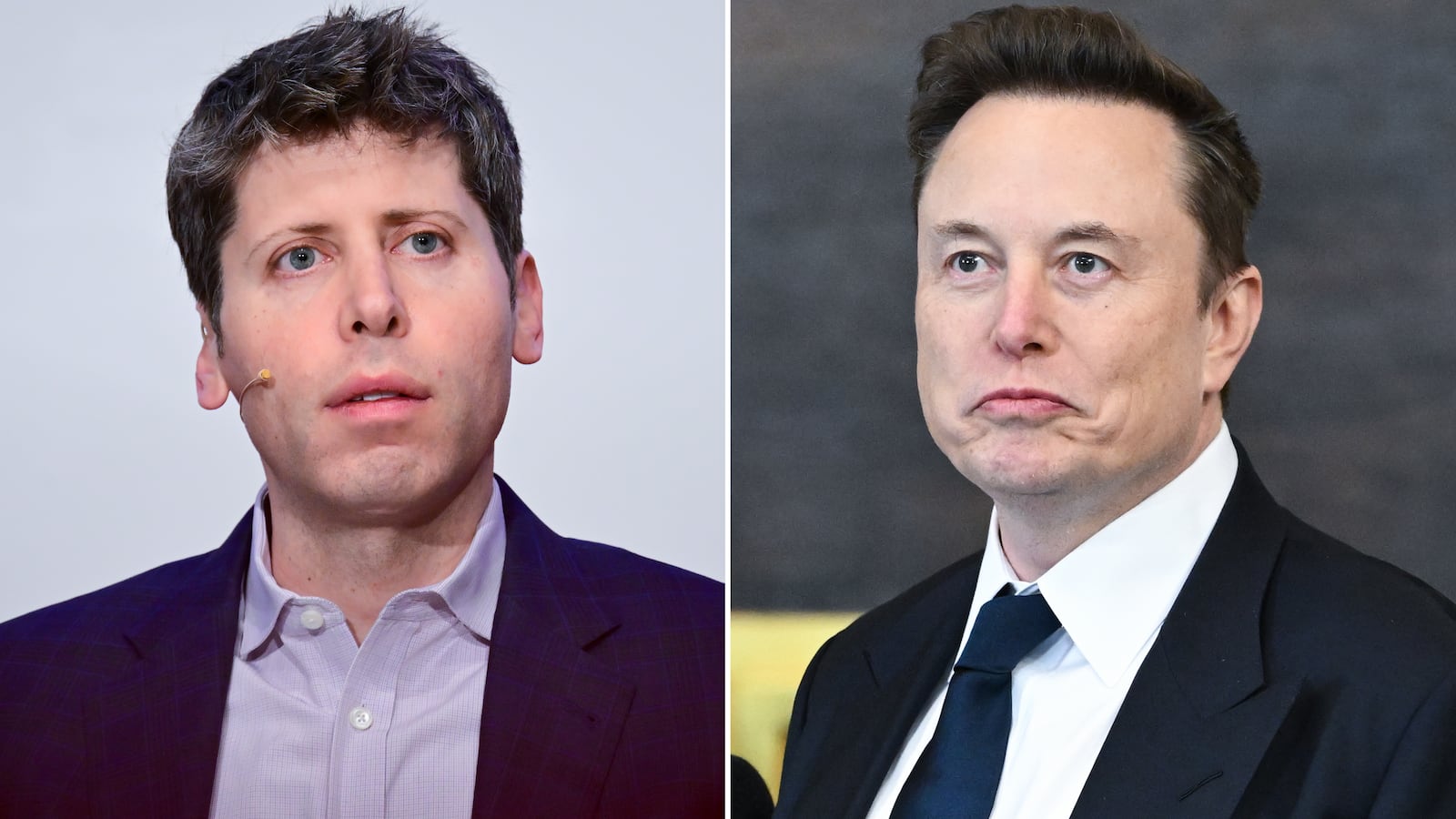 Sam Altman, Elon Musk split