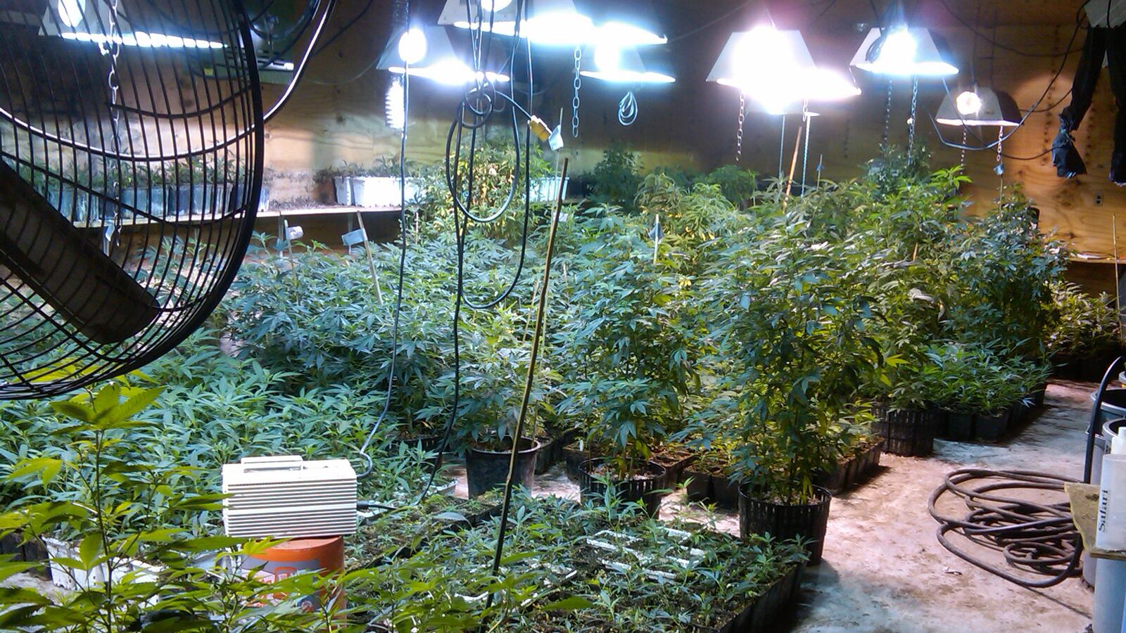 articles/2013/06/06/weeds-come-to-life-scarsdale-mom-arrested-in-massive-pot-bust/130605-marijuana-mom-tease_pm75ft