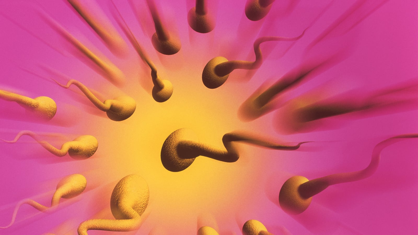 articles/2012/12/08/sperm-count-plummets-for-french-men-new-study/france-sperm-count-mcnicoll_r7on9b