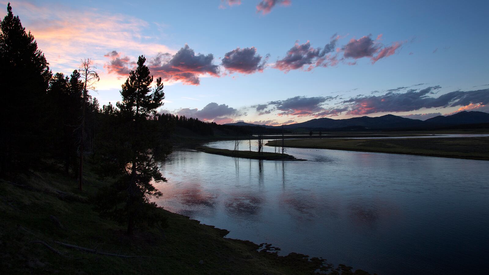 2016-09-23T120000Z_291023626_TM3EC9N17MM01_RTRMADP_3_MONTANA-YELLOWSTONE-FISH_jah2o3