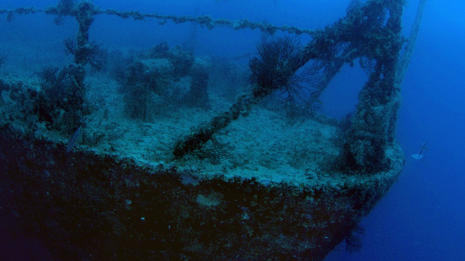 GettyImages-53229283_pkn6ud