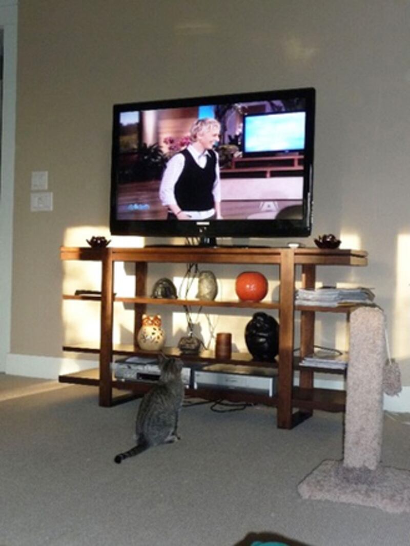 galleries/2010/10/21/twitpics/twitpi1021---degeneres_pmssic