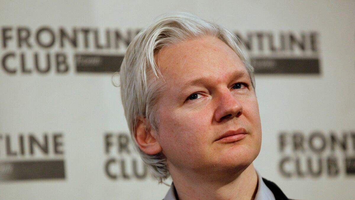 articles/2012/02/28/wikileaks-stratfor-emails-roil-u-s-intelligence-community/stratfor-leak-assange-mckelvey_jclhe9