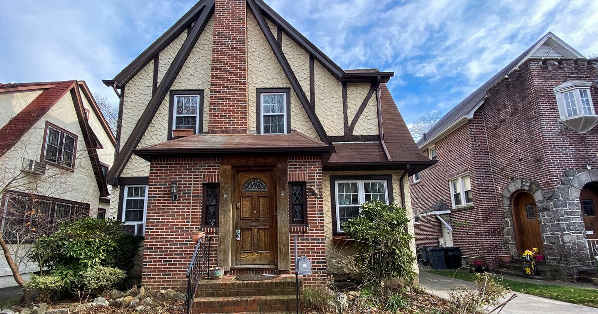 Trump’s Childhood Home Is Overrun with Feral Cats