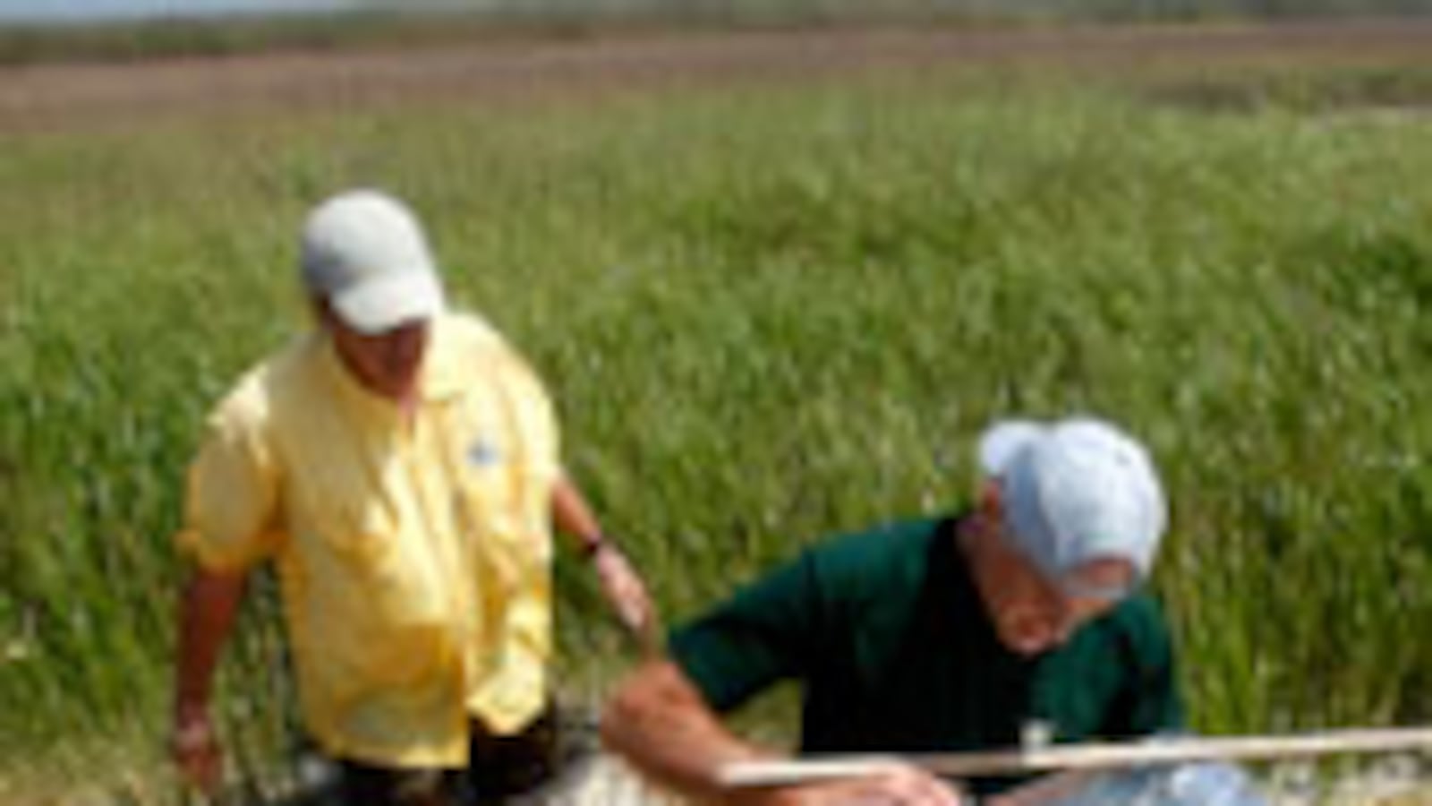 articles/2010/05/05/will-the-spill-impact-public-health/karl-oil-spill-public-health_98734_pmqj4h