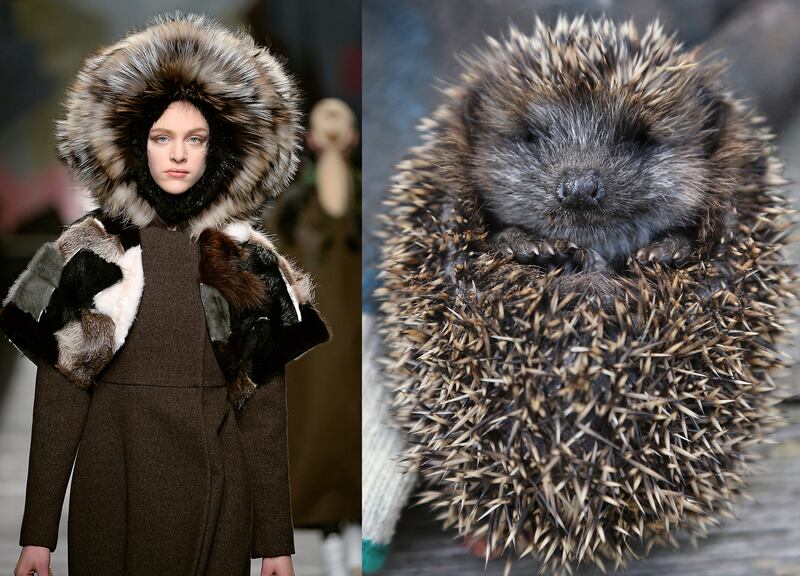 galleries/2014/03/06/fendi-lanvin-and-more-fashion-week-pieces-that-looked-like-animals/gal-2014-fashion-wild-11_jvhteg