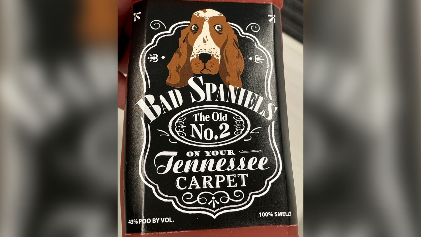 Blank_3000_x_1688_copy_309_vkfy65