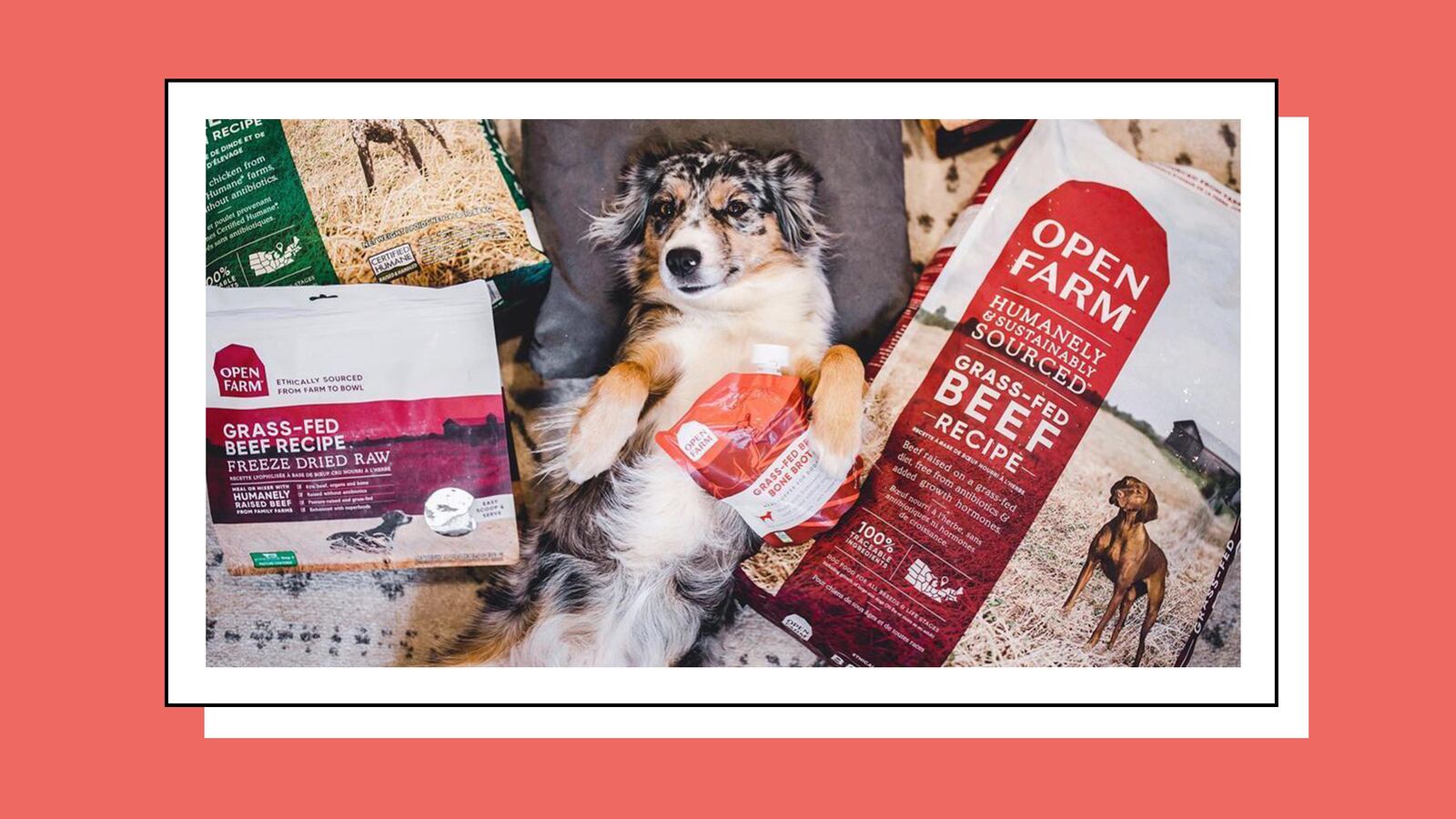 Open_Farm_Sustainable_Dog_Food_atbcts