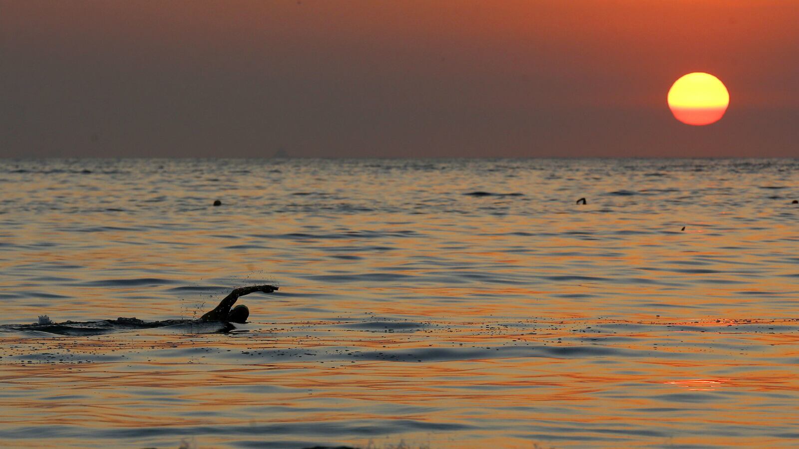 cheats/2015/07/30/rio-waters-pose-health-risk-at-olympics/150730-rio-polluted-waters-olympics-cheat_ktafrm