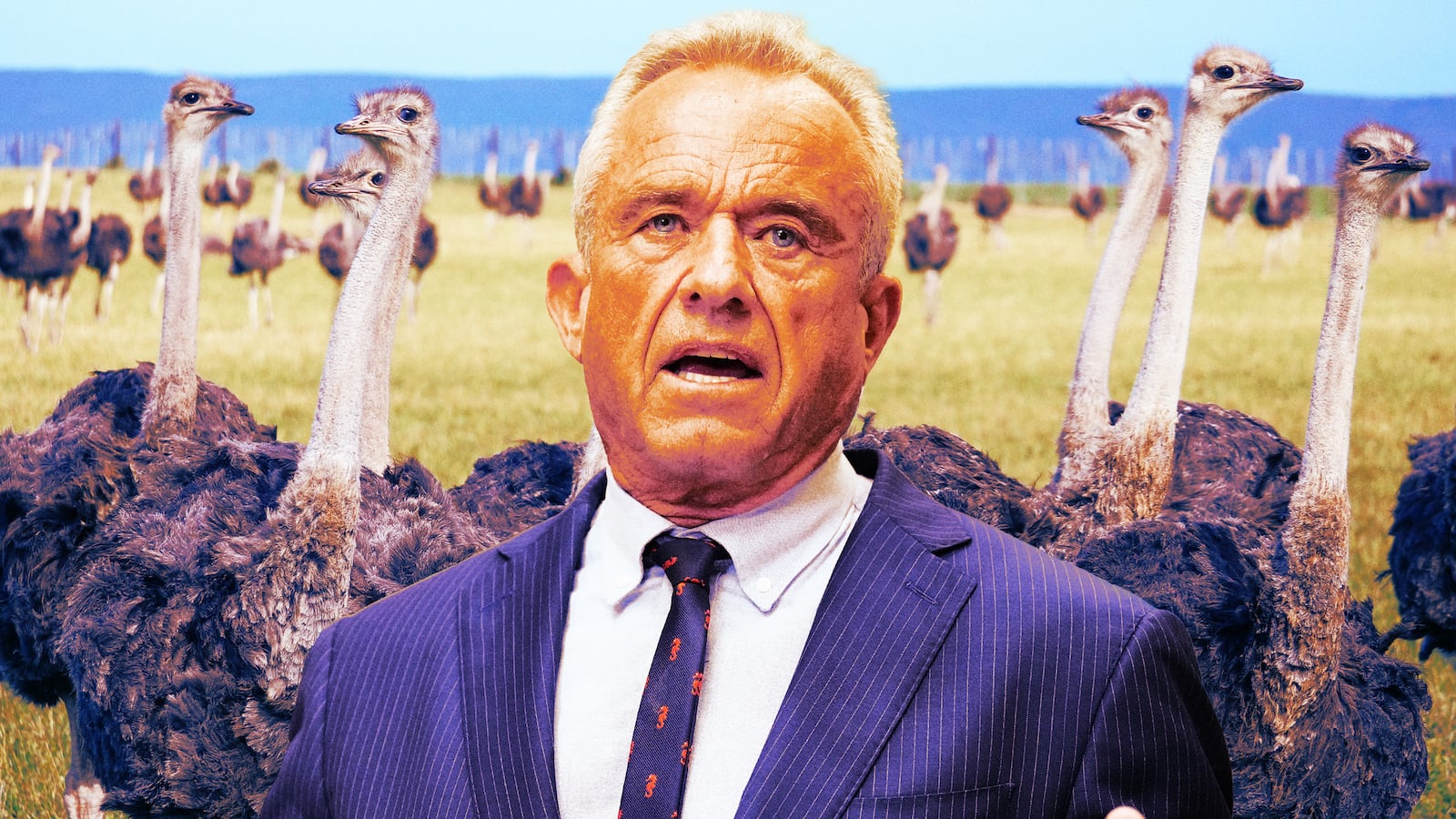 A photo illustration of RFK Jr and a flock of ostriches.