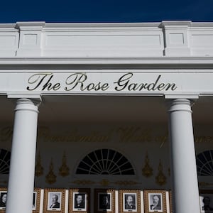 Rose garden
