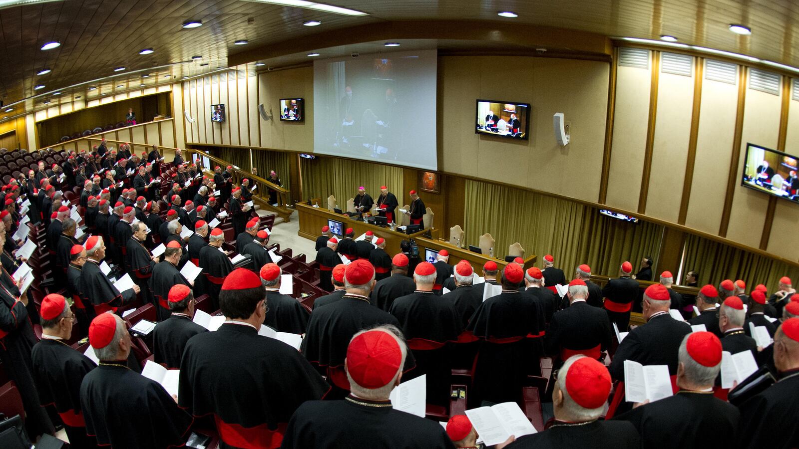 cheats/2013/03/04/cardinals-meet-to-choose-new-pope/130304-vatican-conclave-cheat_qjcsoy