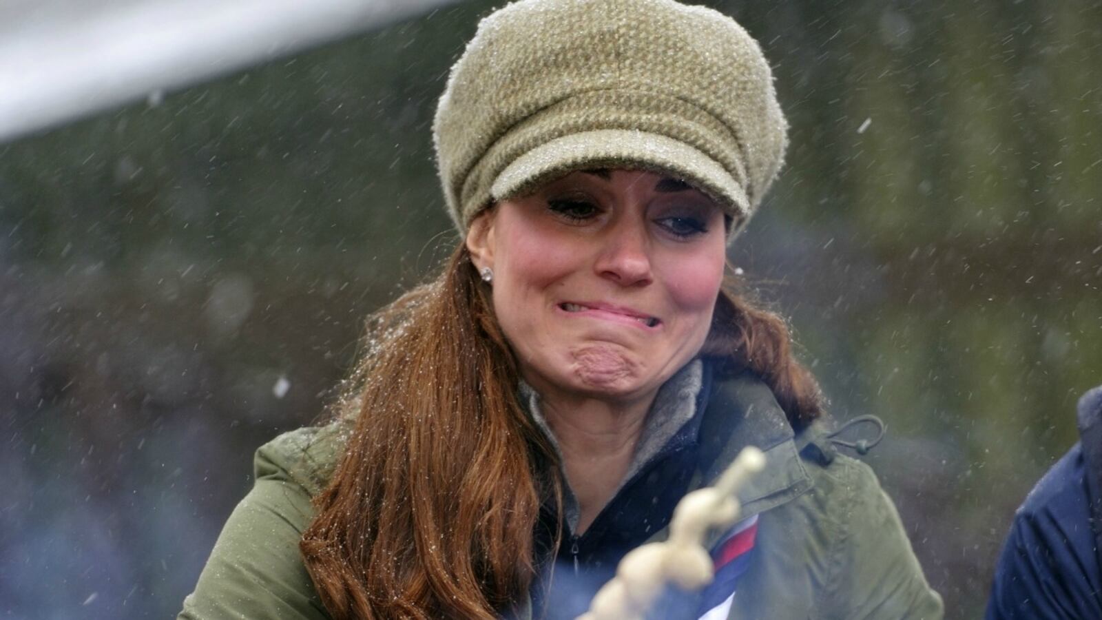 cheats/2013/05/23/study-british-bbq-dirtier-than-toilet/130523-british-bbq-poo-cheat_ovfs8a