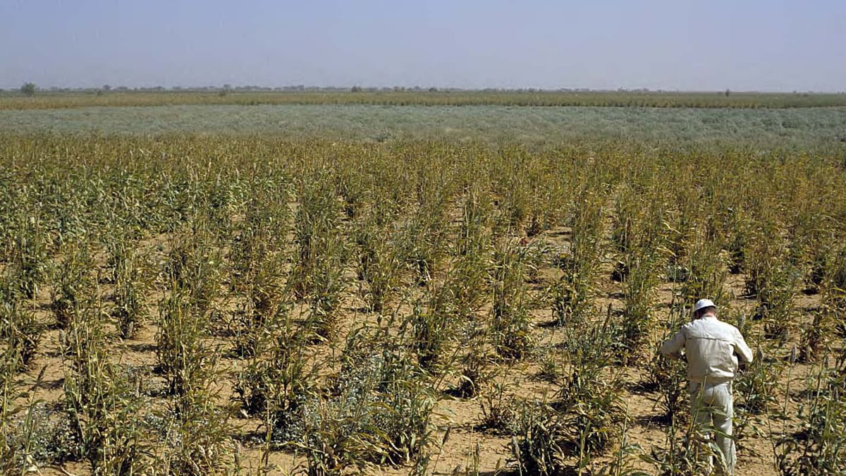 articles/2011/08/26/climate-change-is-making-deserts-greener/desert-greening-theil2_sepqtt