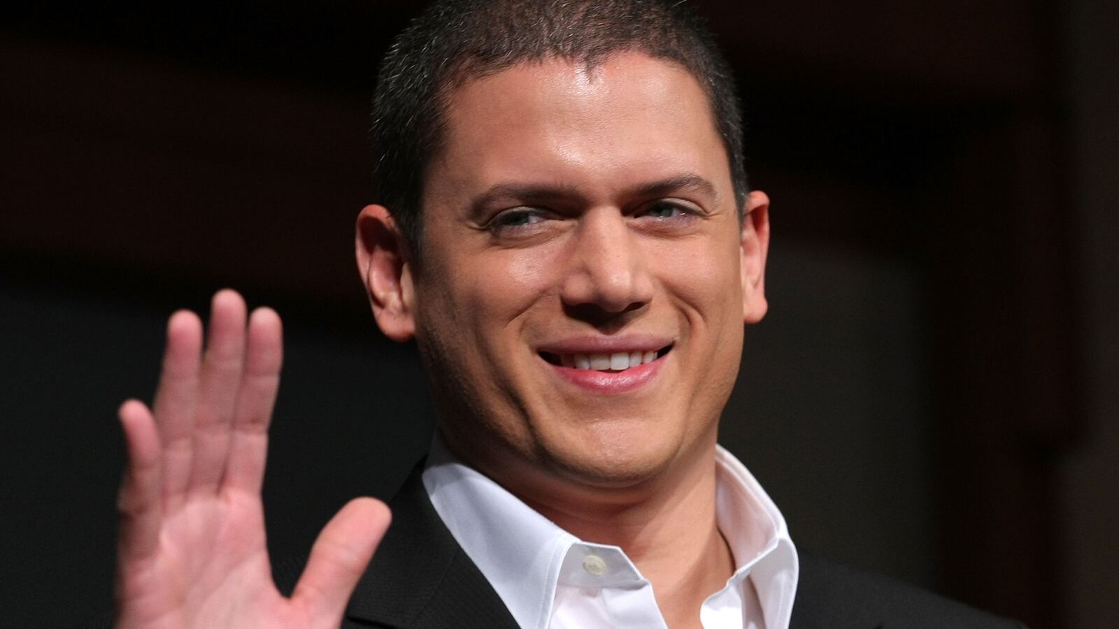 cheats/2013/08/21/prison-break-star-comes-out-as-gay/130821-wentworth-cheat_tst9w4