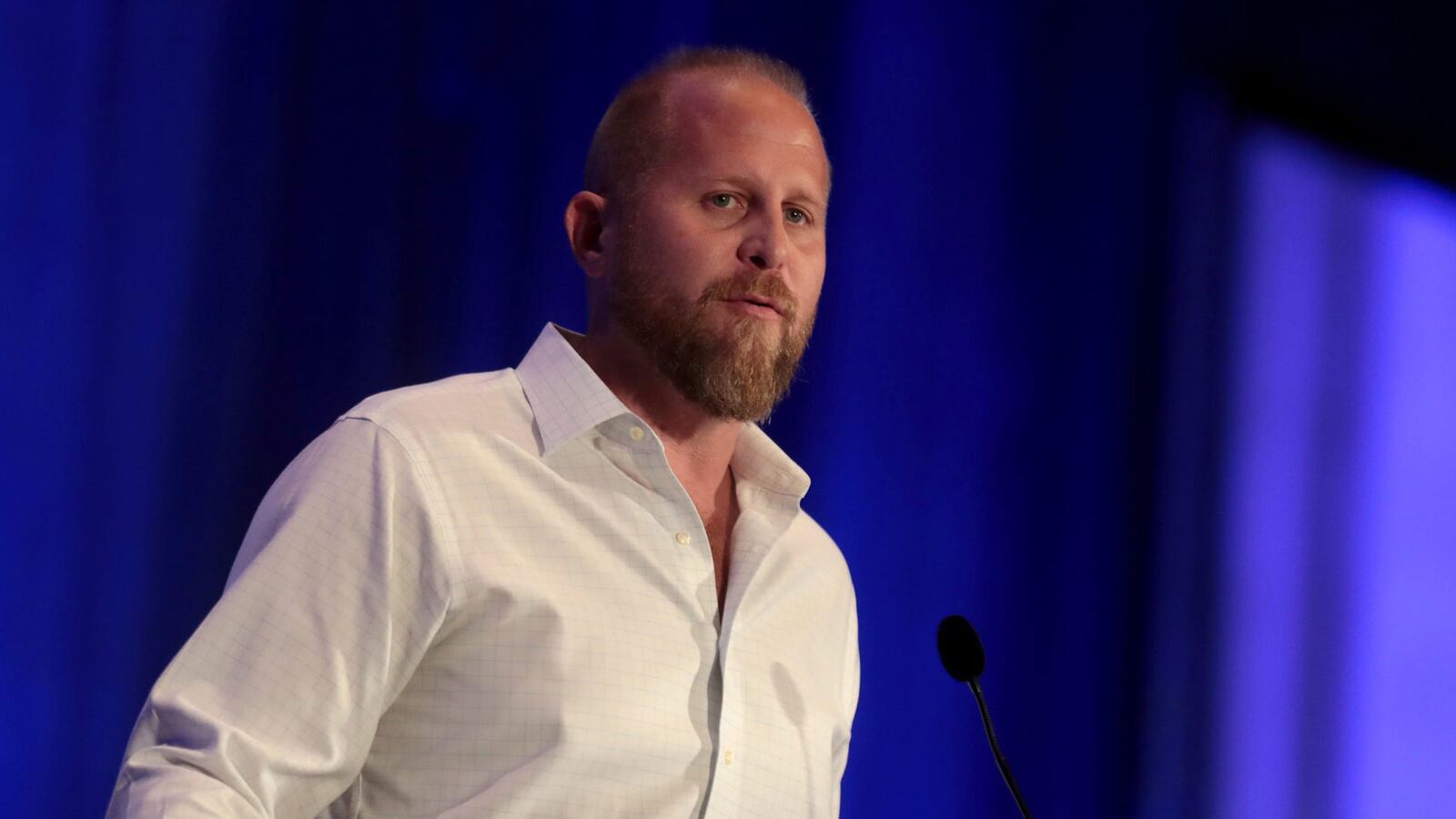 190910-lewis-brad-pascale-hero_xajbov