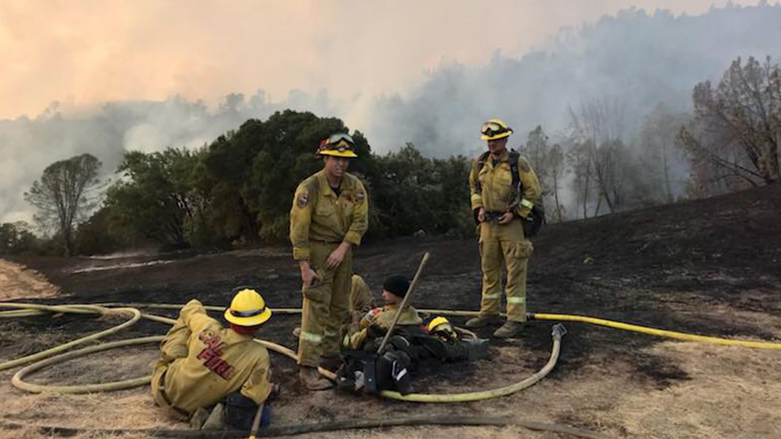 171106-rothbaum-Ted-Hall-tease_fmye3x