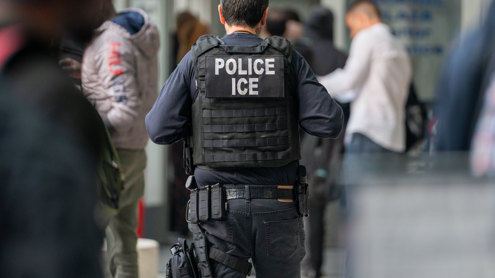 The back of an Immigrations and Customs Enforcement officer wearing a vest that says "POLICE ICE."