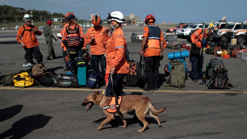 170925-Rescue-dogs-mexico-gal-04_kyjro4