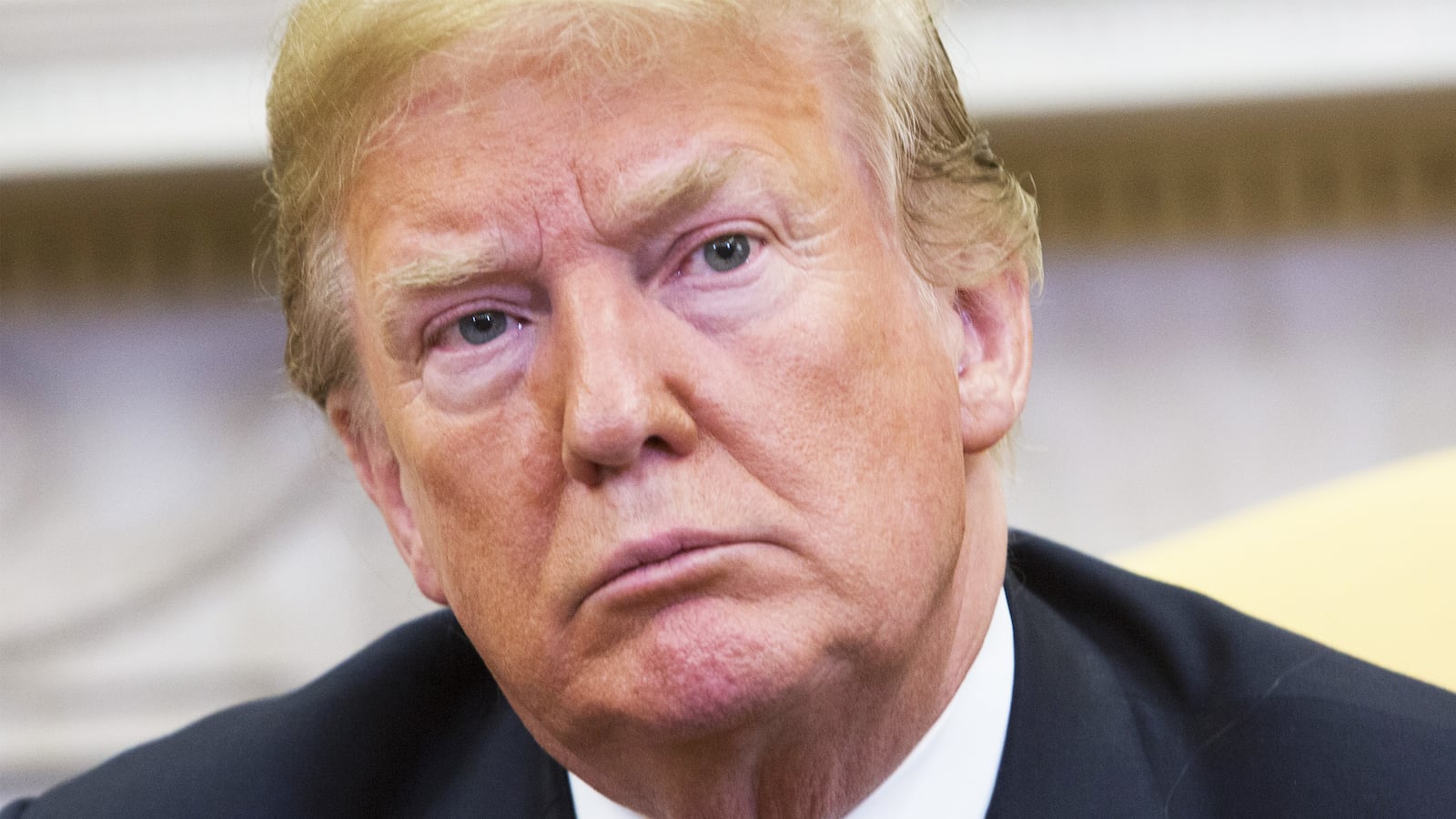 180525-Swin-Stein-donald-trump-hero_czoazl