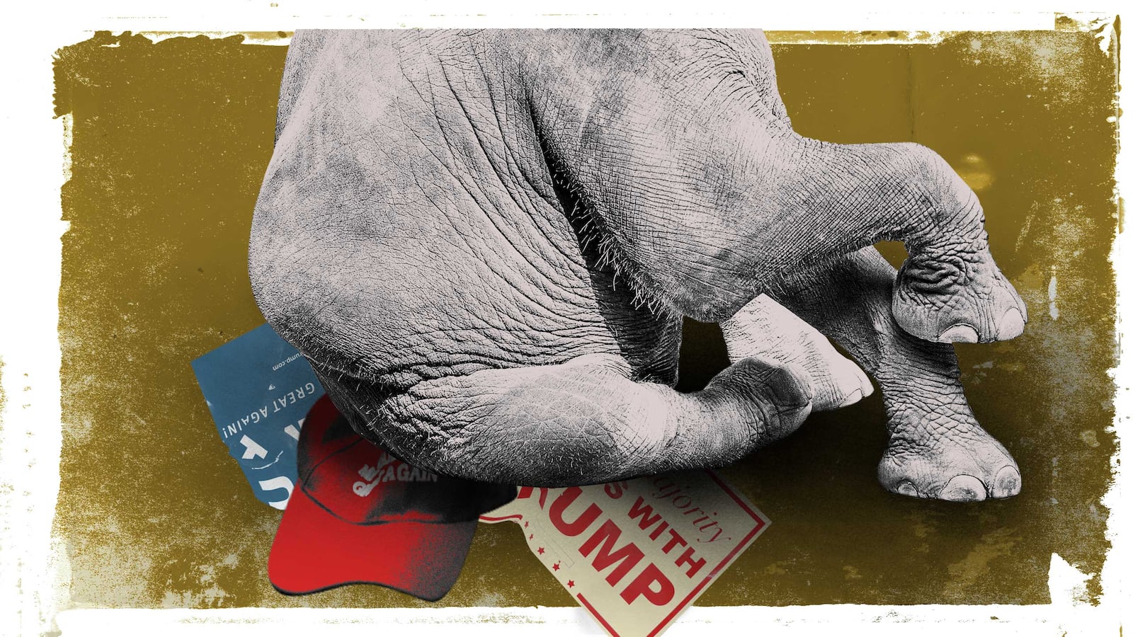 180829-cooper-gopers-ditch-trump-hero_djsfjh