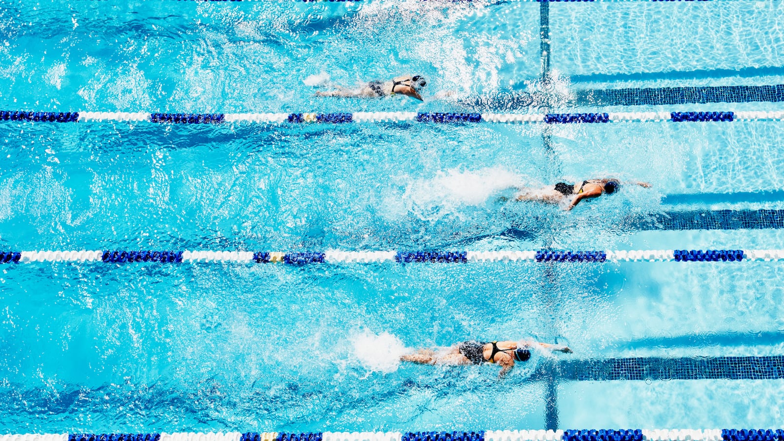 Competitive swimmers.