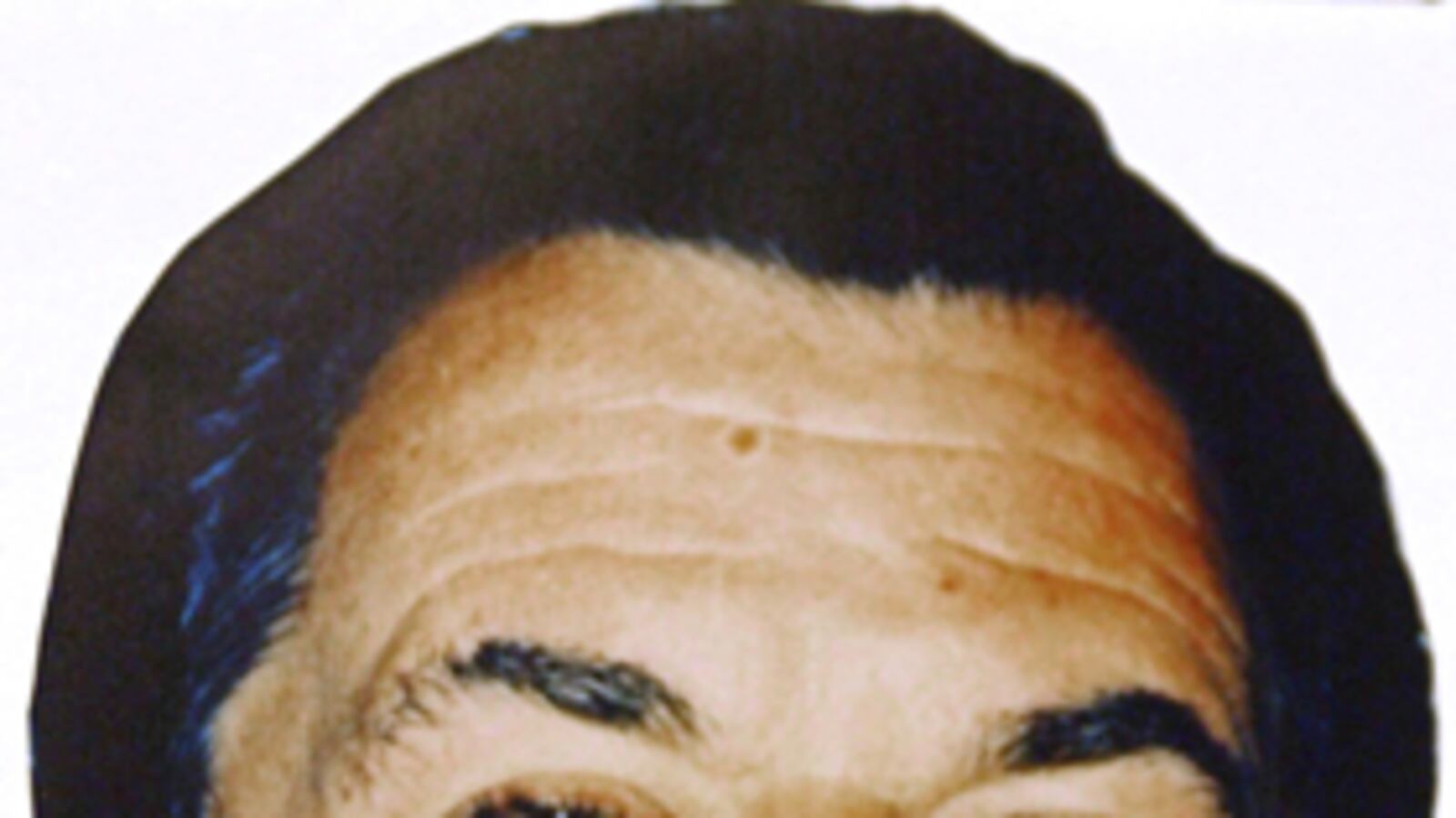 cheats/2011/04/13/mafia-boss-turns-rat-at-trial/mafia-joseph-massino_lgybo5