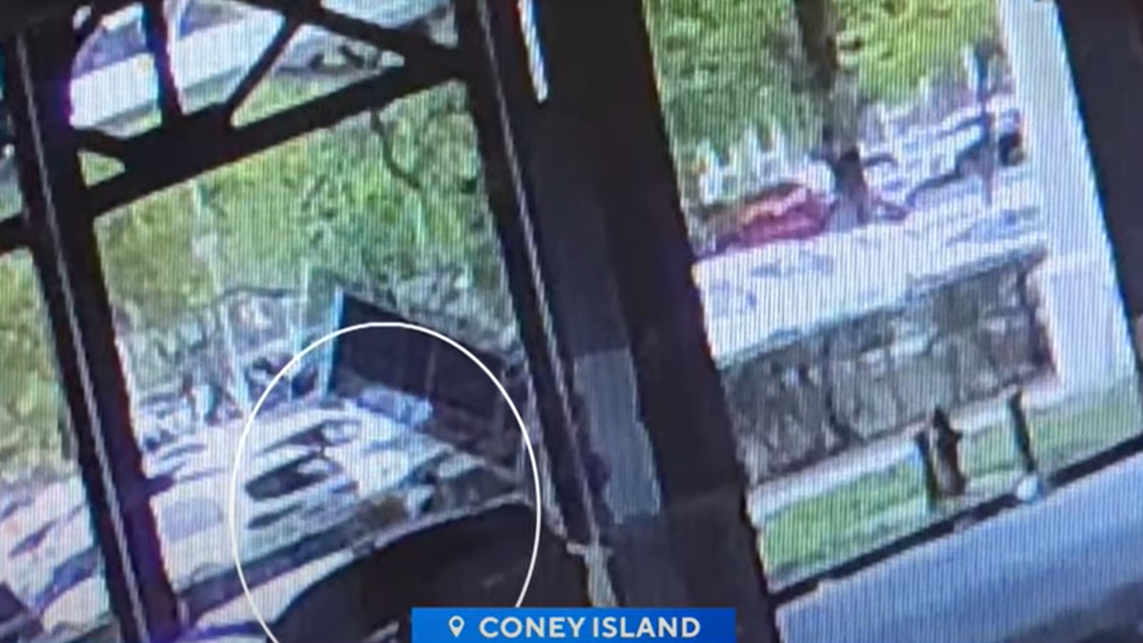 Woman Killed by Flying Solar Panel in Freak NYC Storm Death