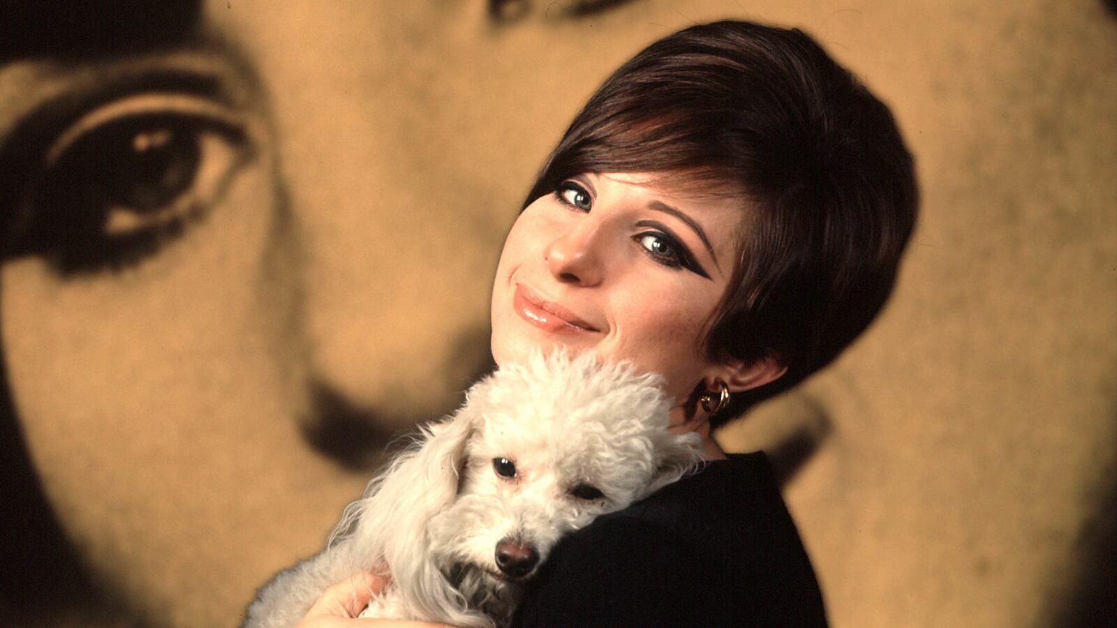 articles/2014/05/23/streisand-s-gay-sex-problem-and-the-death-of-the-gay-icon/140522-teeman-streisand_f2wprs