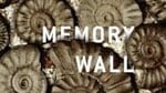articles/2010/07/12/anthony-doerr-ivan-doig-james-mauro-and-other-hot-reads/hot-reads-712---memory-wall_iixqyu