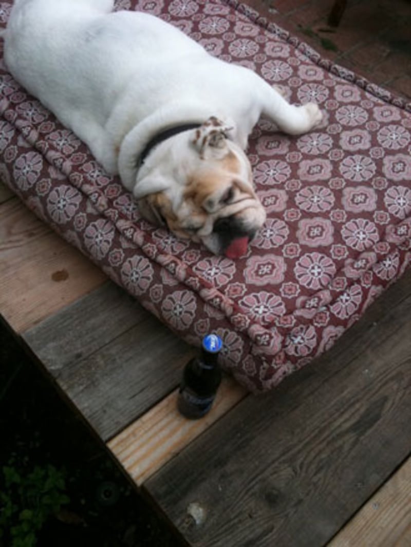 galleries/2010/07/08/celebrity-twit-pics/twitpi711---wilde_lodta1