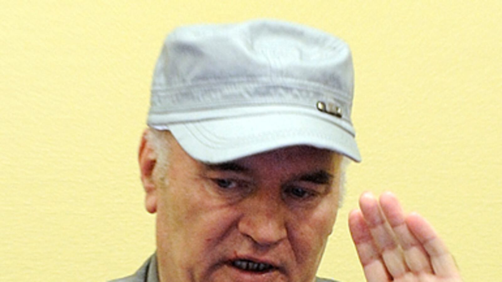 cheats/2011/06/03/mladic-appears-before-hague/mladic-hague_ei7e1a
