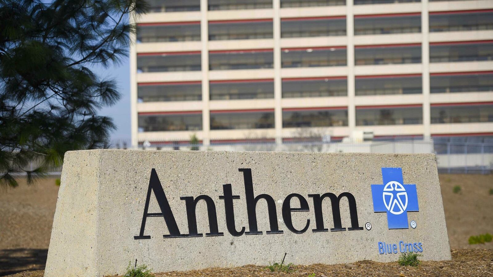 cheats/2017/02/08/federal-judge-halts-anthem-cigna-merger/170208-anthem-cigna-cheat_yzvsva
