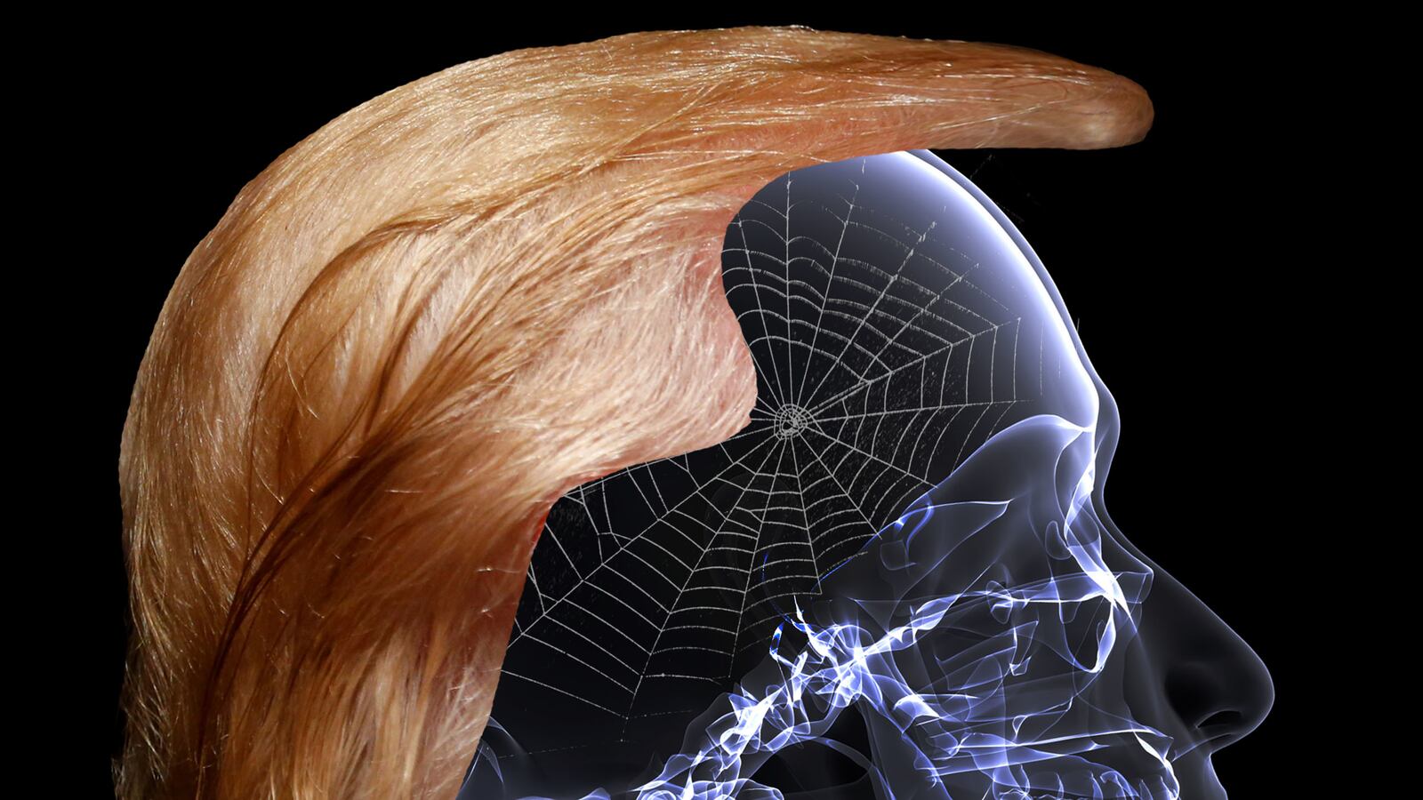 articles/2016/08/06/donald-trump-in-your-heart-you-know-he-s-nuts/160805-irving-donald-trump-tease_htyfsc