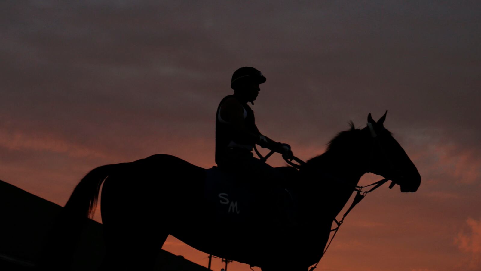 cheats/2014/05/22/horse-dies-at-churchill-downs/140522-horse-cheat_kwfuxo