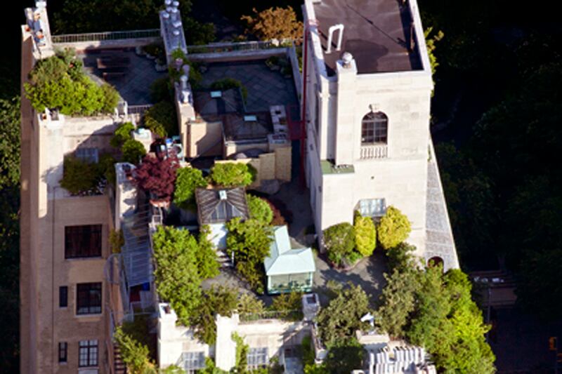 articles/2012/04/22/earth-day-2012-new-york-rooftop-photos-by-alex-maclean/roftop-garden-855-5th-ave-small_y4e2qq