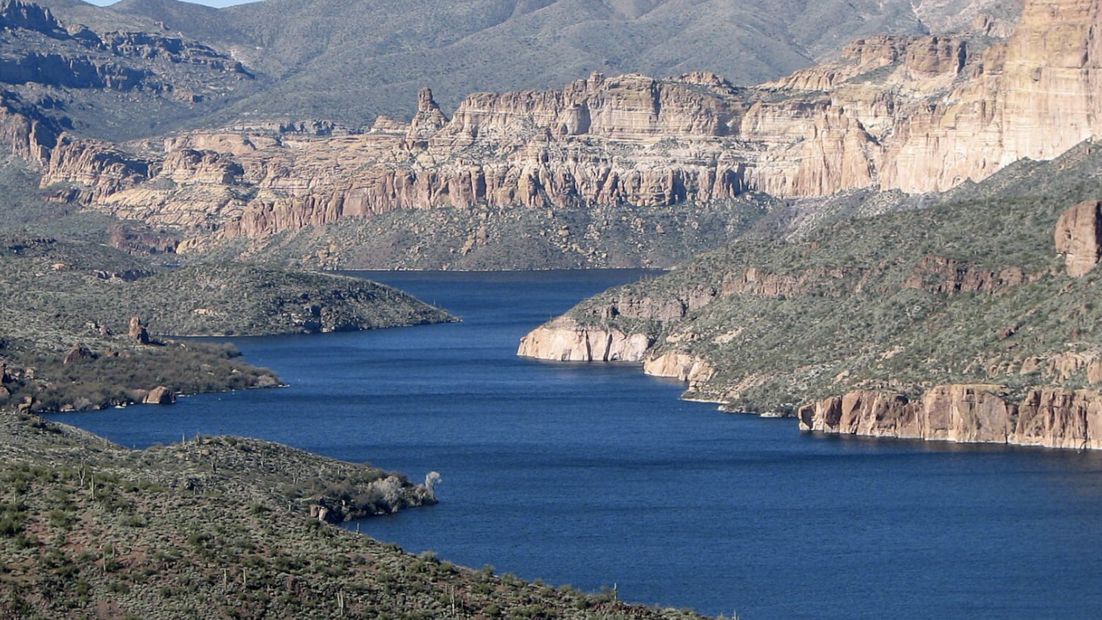 Tonto National Forest in Arizona.