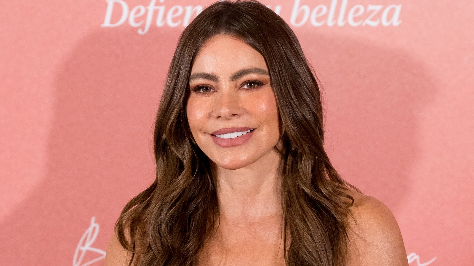 Press image of Sofia Vergara.