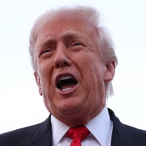 JOINT BASE ANDREWS, MARYLAND - NOVEMBER 09: U.S. President Donald Trump gives brief remarks to members of the press after exiting Air Force One on November 9, 2025 at Joint Base Andrews, Maryland. Trump spent the weekend at his Mar-A-Lago estate in Palm Beach, Florida. (Photo by )
