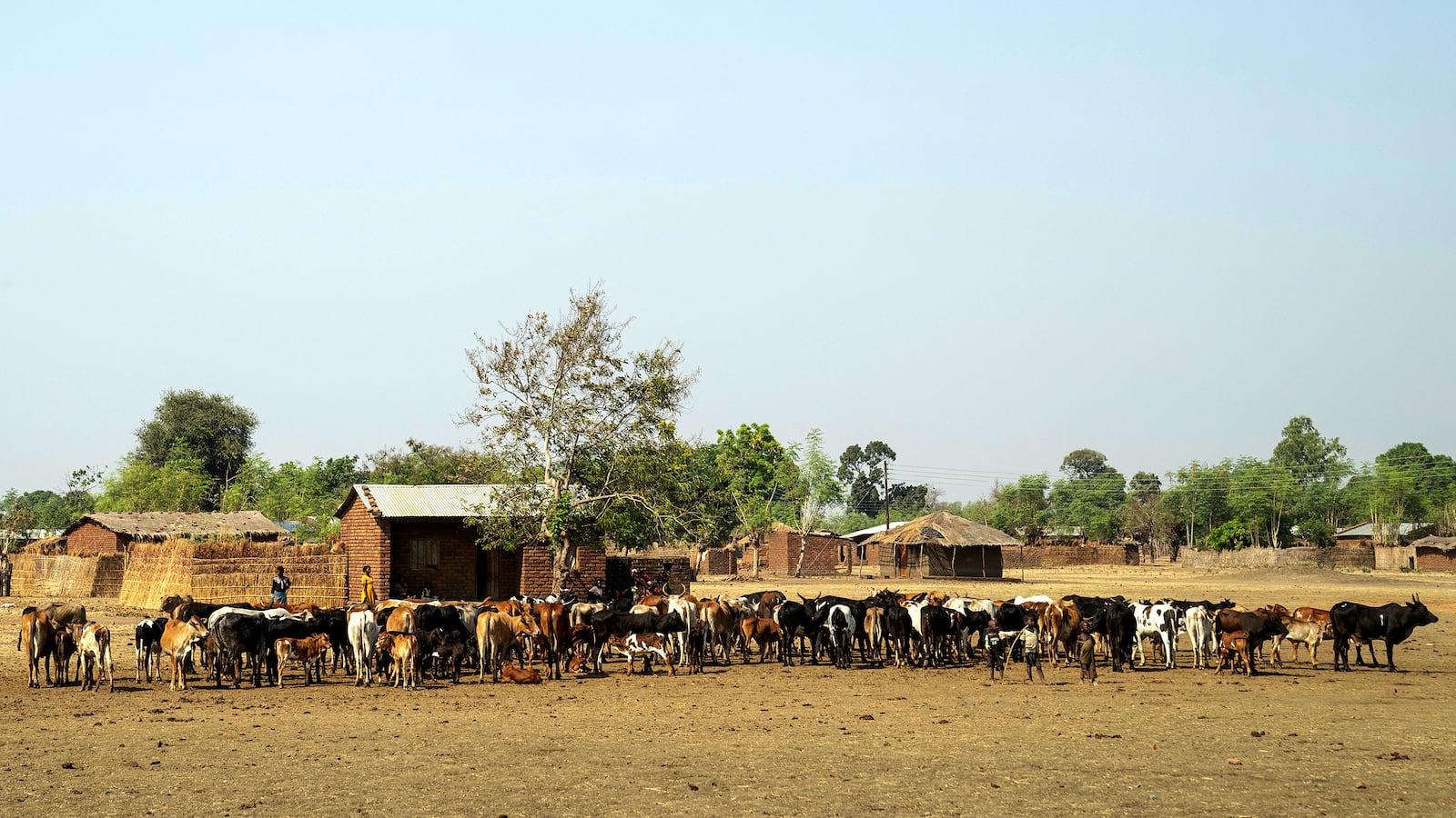 230610-mweninguwe-malawi-farming-plan-hero_hp9h8k