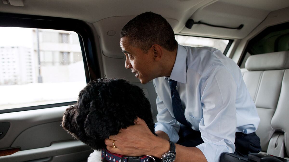 articles/2012/04/23/dog-cnn-column/axelrod-obama-dog-tweet-cheat_ihrwpx